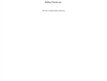 Tablet Screenshot of bildanflorida.com